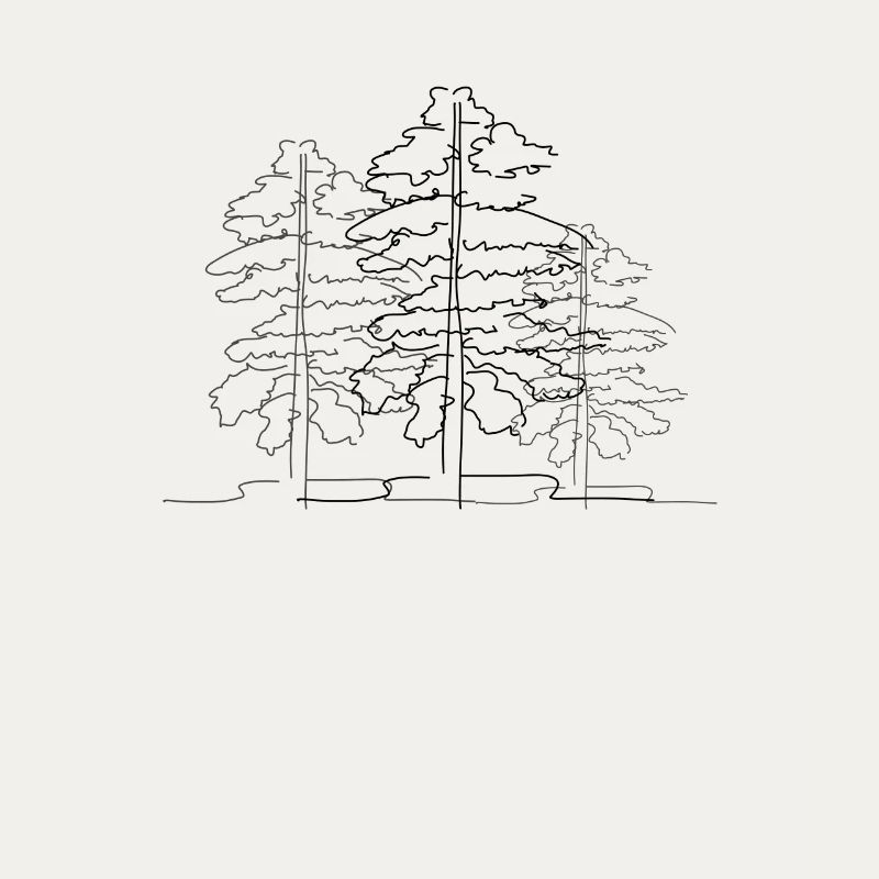 Baum Wald Lineart
