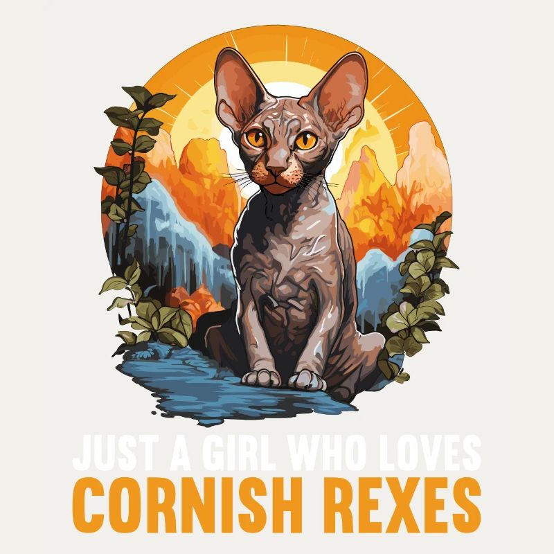 Chaton Cornish Rex Chat Cornish Rex