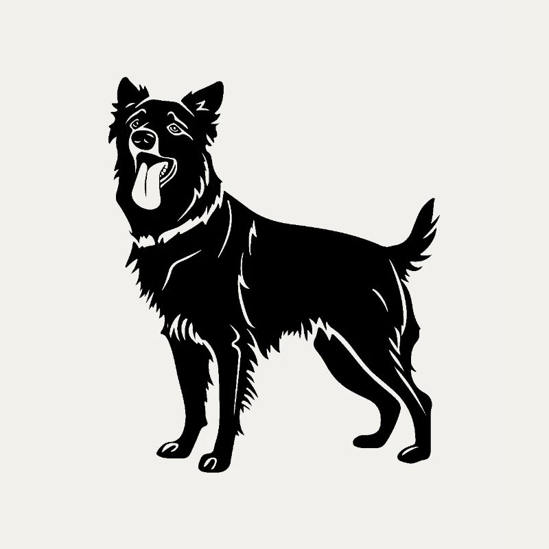 Australian Shepherd Hund