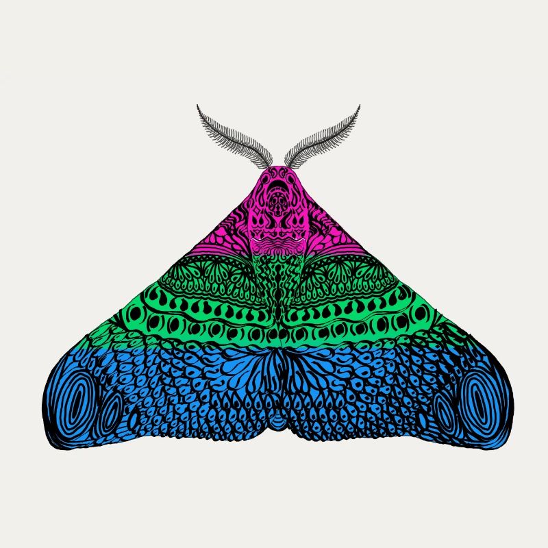 Polysexual pride moth