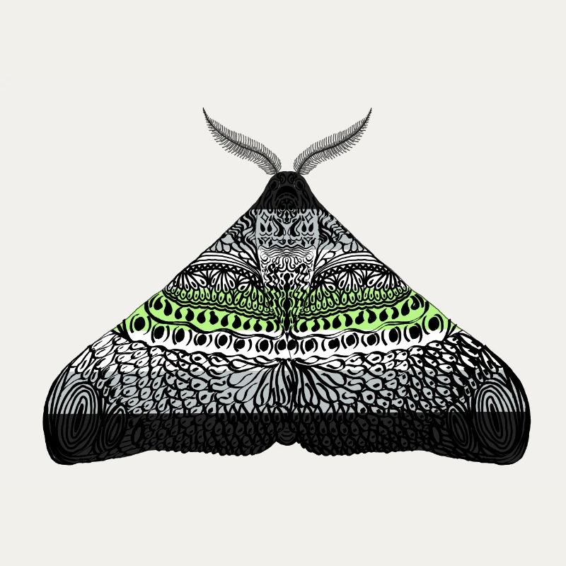 Agender pride moth