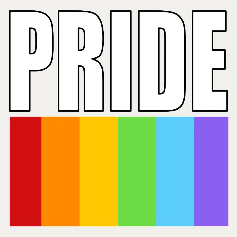Pride rainbow flag clean design with bold text