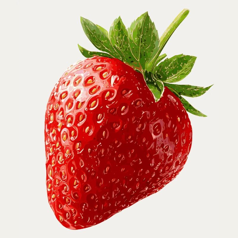 Erdbeere