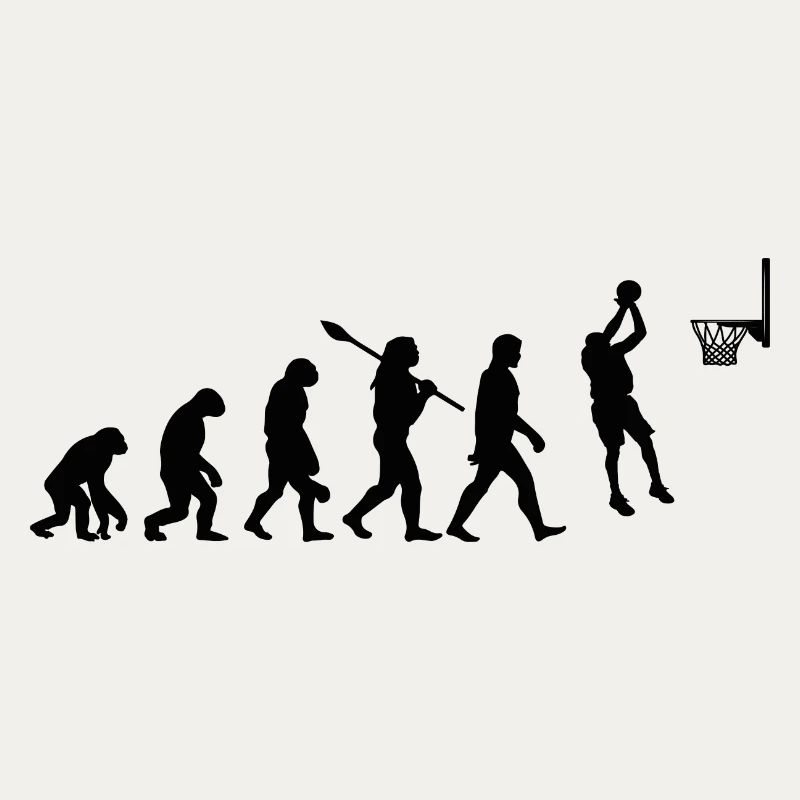 Basket évolution