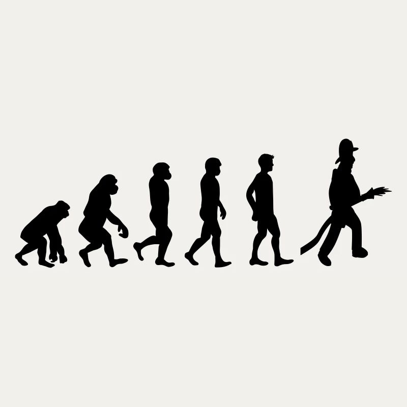 Fire evolution