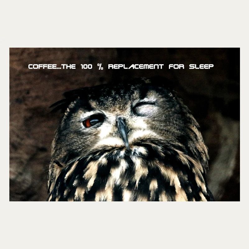 Eule, 100% replacement for coffee