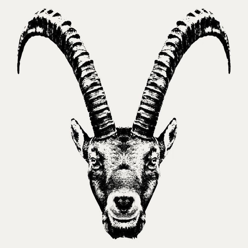 Capricorn / Head / Ibex / Frontal