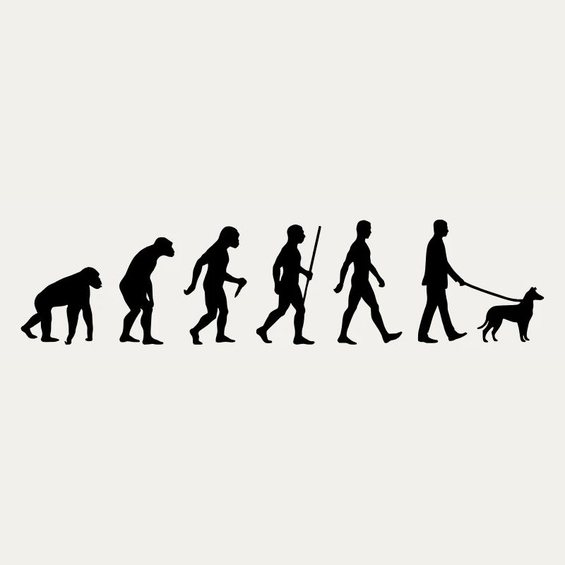Evolution smooth collie man