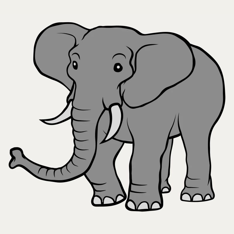 Large grey elephant