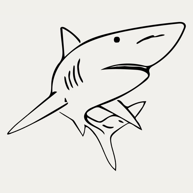 Hai - Vector Design