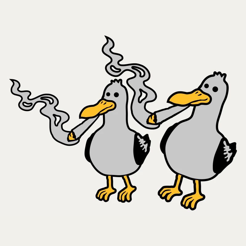 2 Kiffer Möwen Freunde