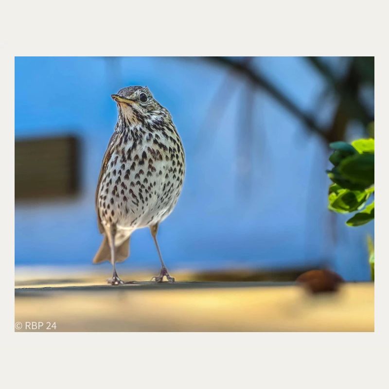 3C6DAC94 2483 48C8 B3C0 C91D9BD6FBB1