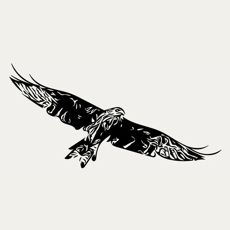 Greifvogel auf breiten Schwingen