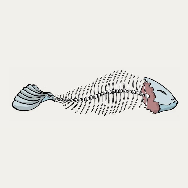 Fisch