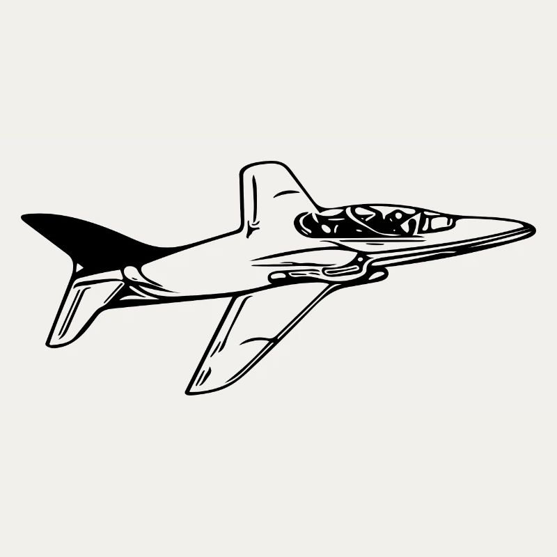 Jet Airplane Flyer