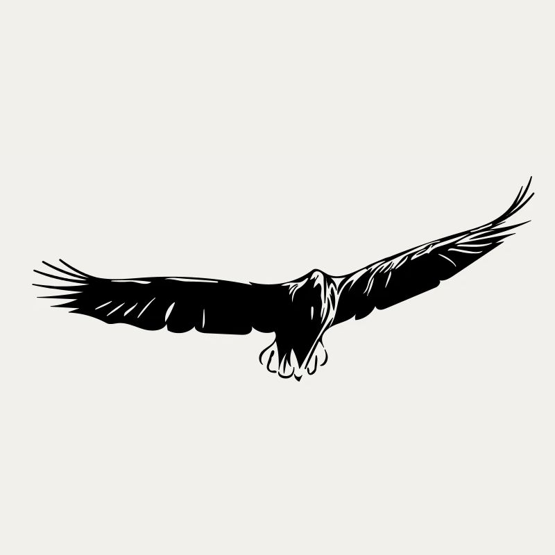 Adler im Gleitflug
