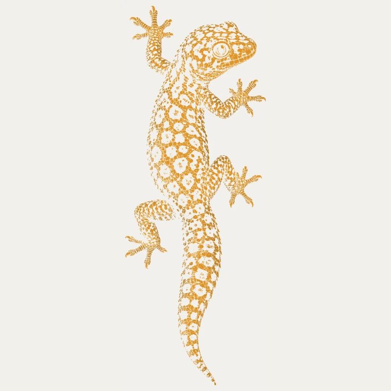 Leopardgecko