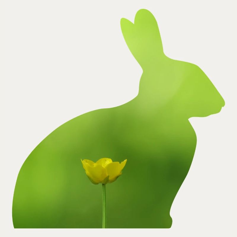 Hare