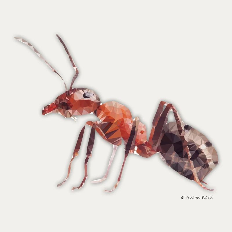 ant