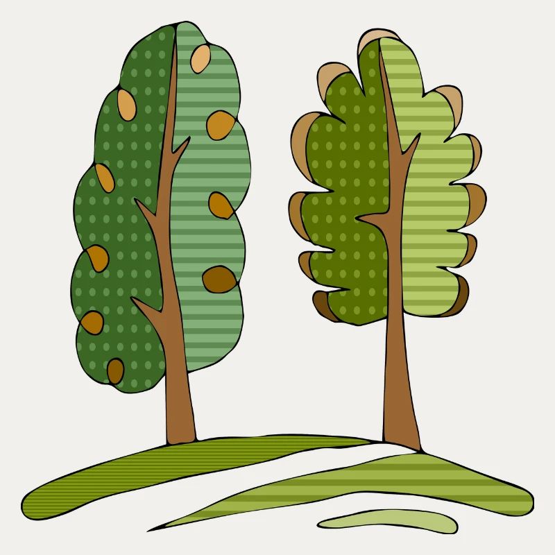 Baum