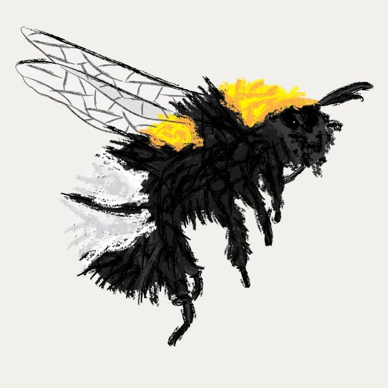 Hummel / Bumblebee Design I