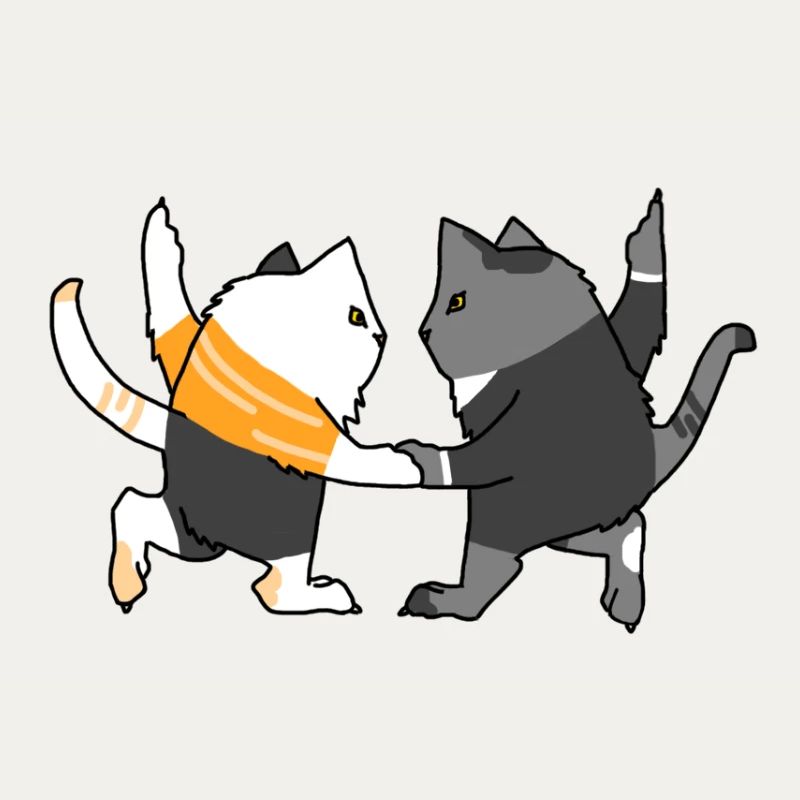 Chats dansants