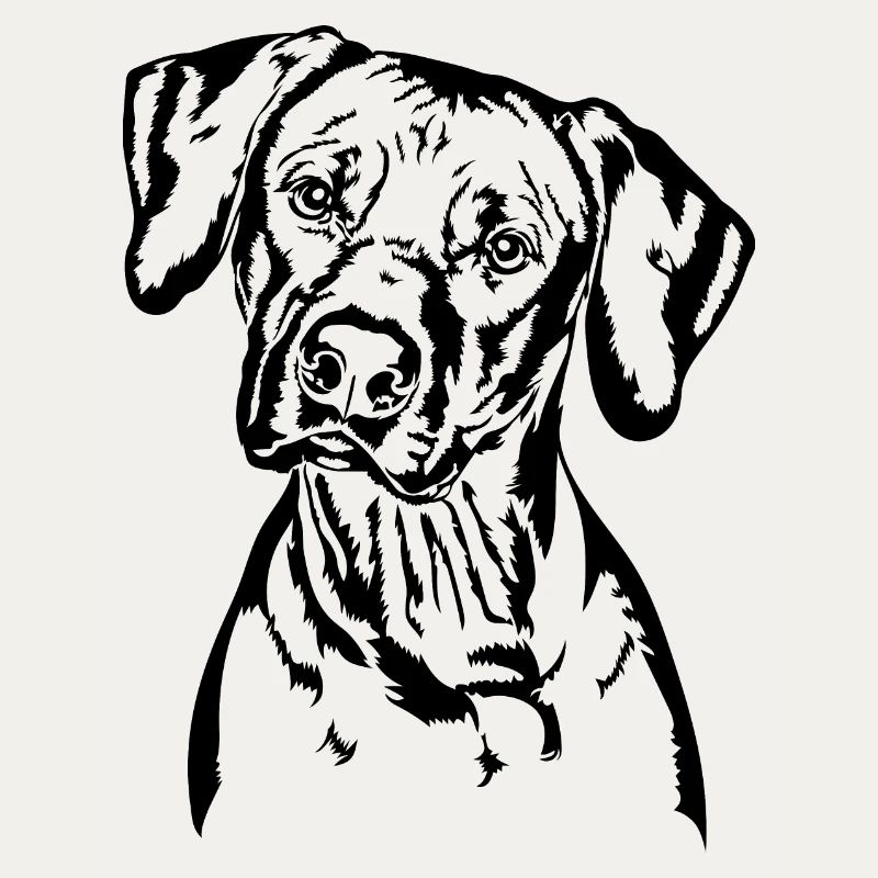 RHODESIAN RIDGEBACK Hunde Portrait Wilsigns