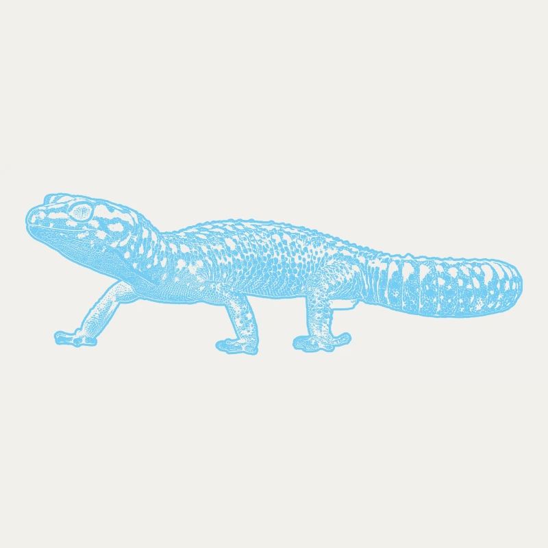 Leopard gecko