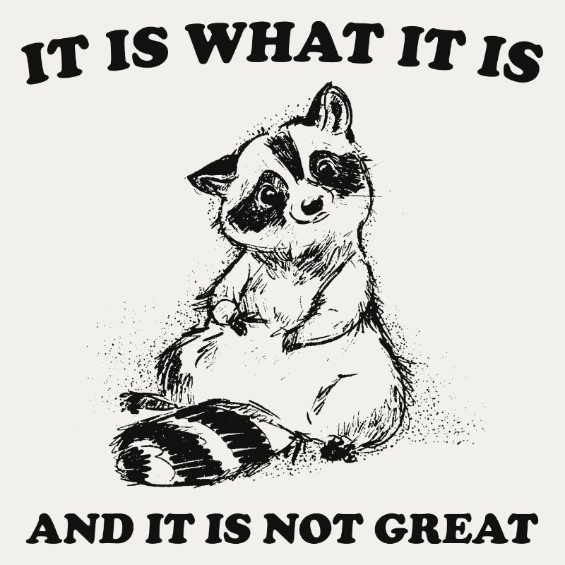 it is what it is and it is not great meme quote