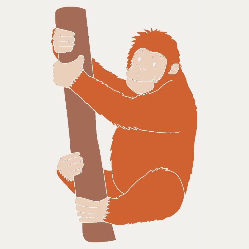 Orangutan