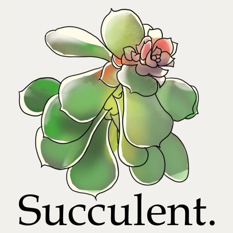 Succulente Fleur Aquarelle