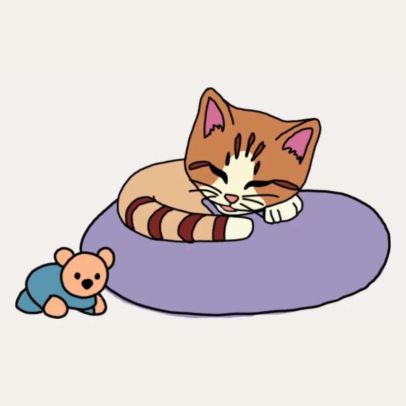 Katze