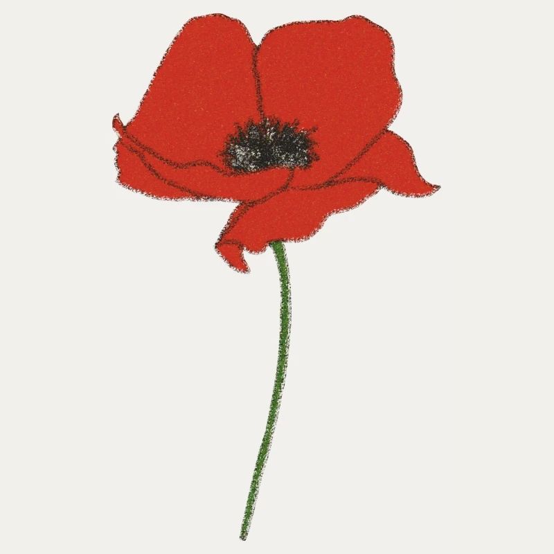 Impressionnisme coquelicot