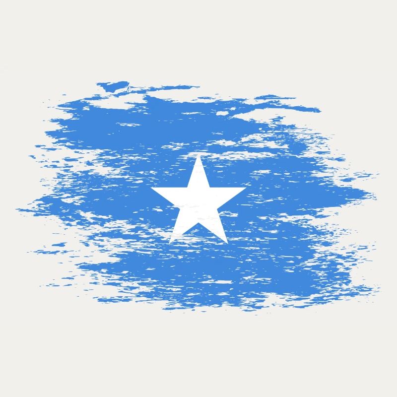 Drapeau de la Somalie utilisé