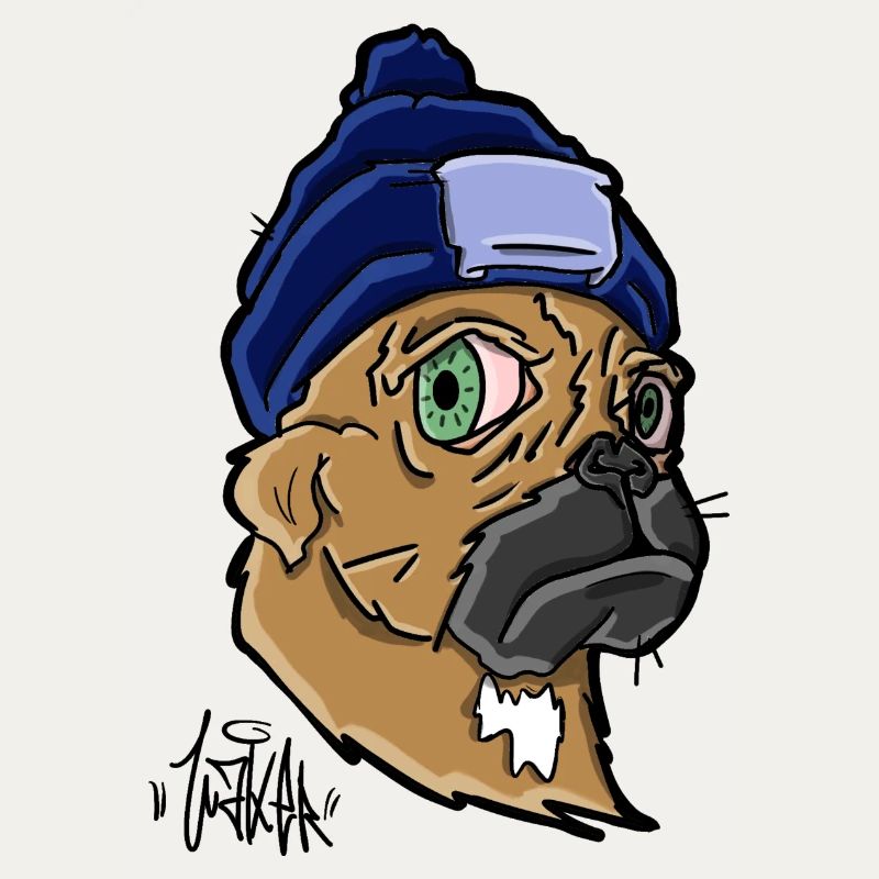 Chien avec un bonnet