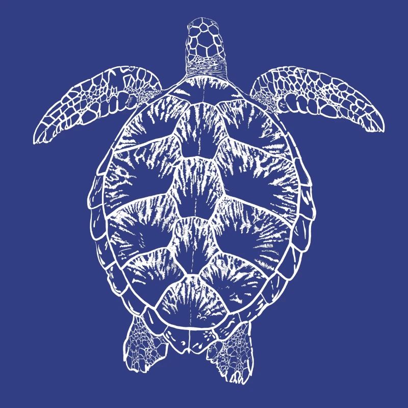 Turtle white2