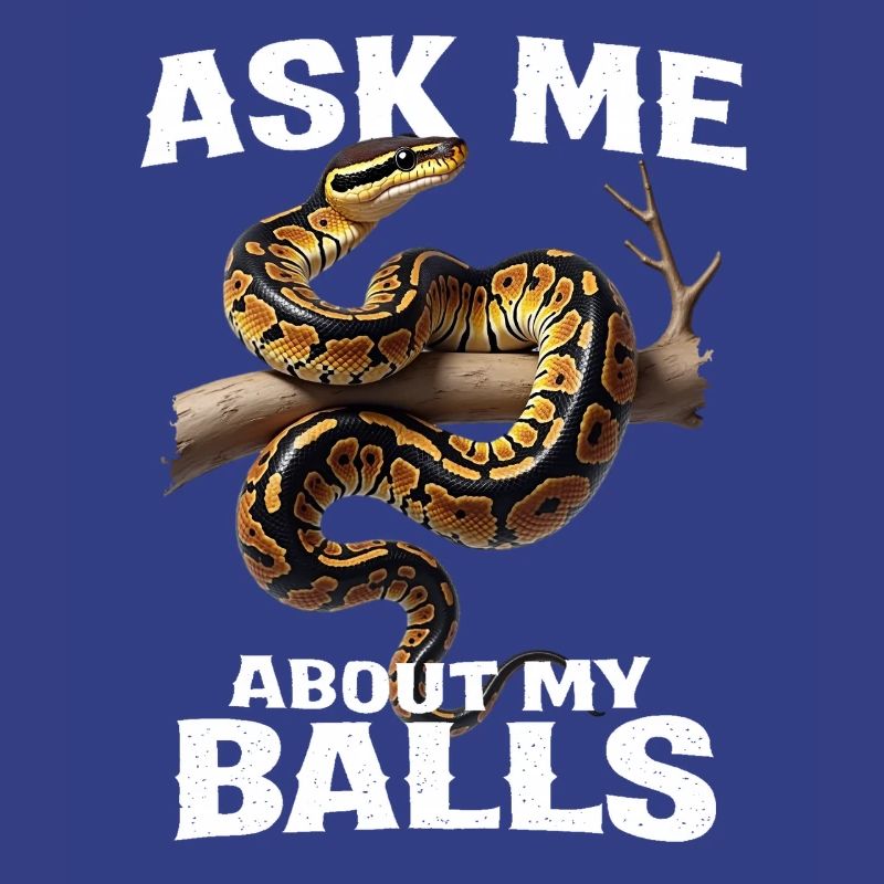 Python roi Serpents Amateurs de terrarium Python