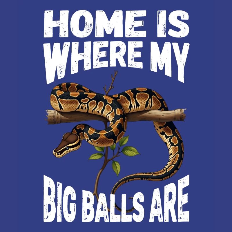 Königspython Schlangen Liebhaber Terrarium Python