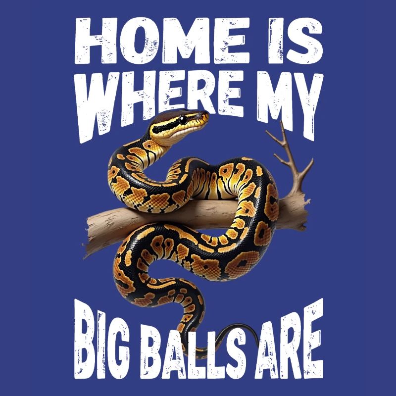 Königspython Schlangen Liebhaber Terrarium Python