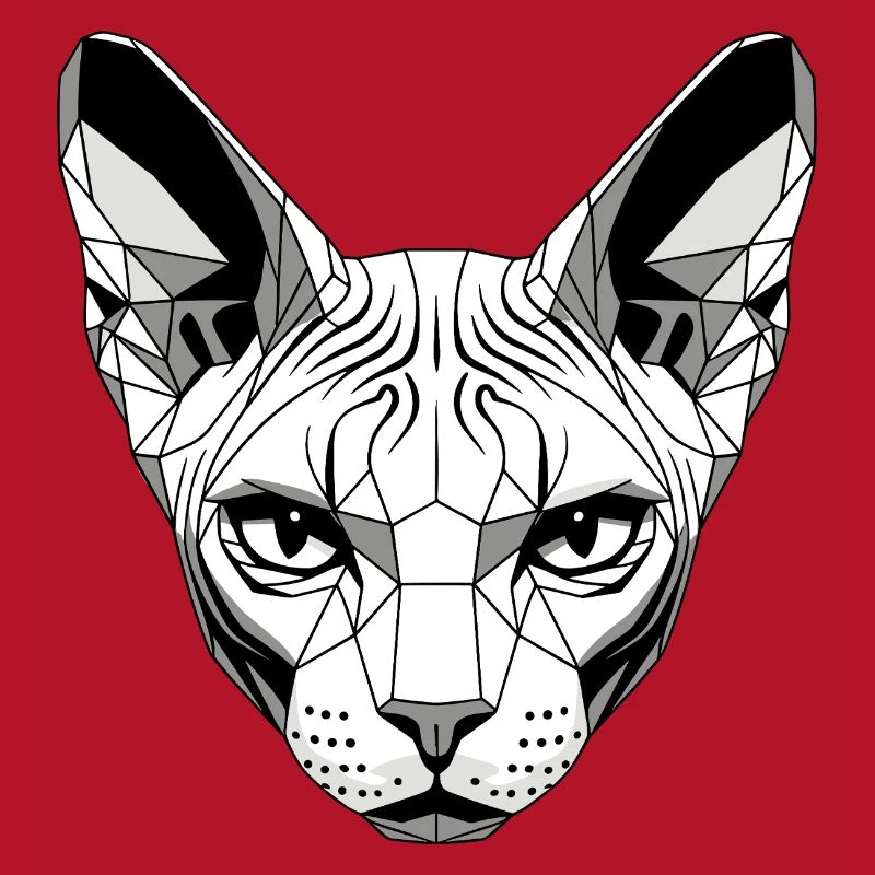 Sphynx Chat Sphynx Chat Chat Canadien Sphinx mignon