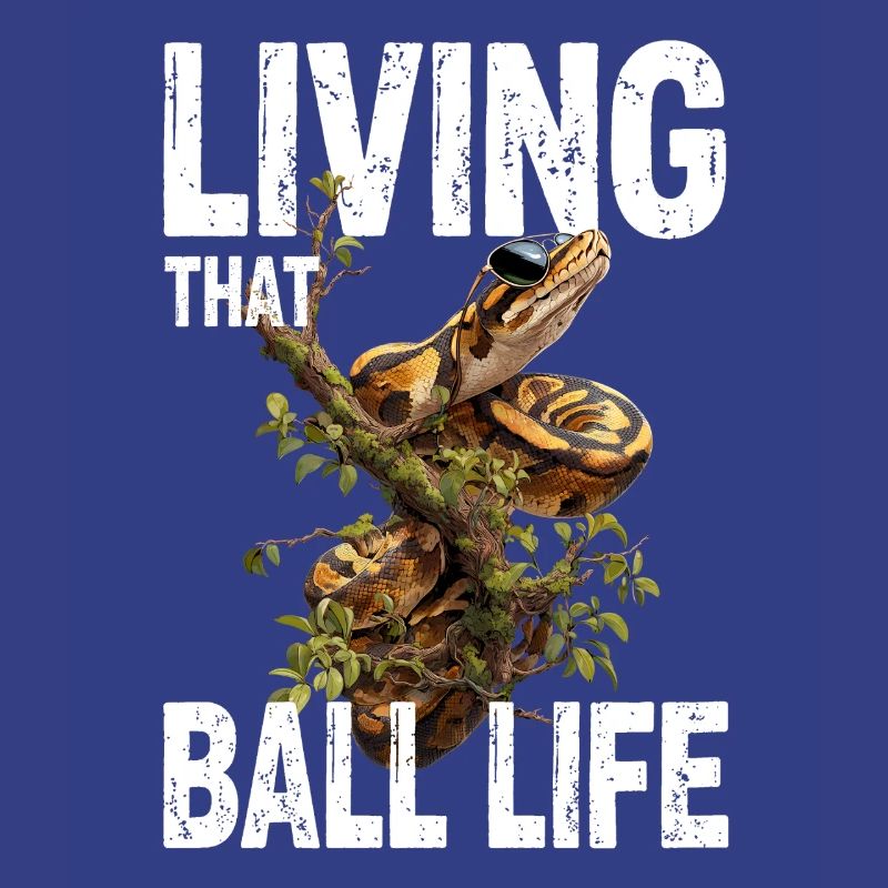 Python roi Serpents Amateurs de terrarium Python