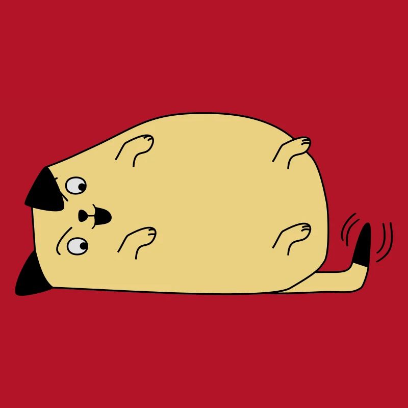 Chien regarde sa queue