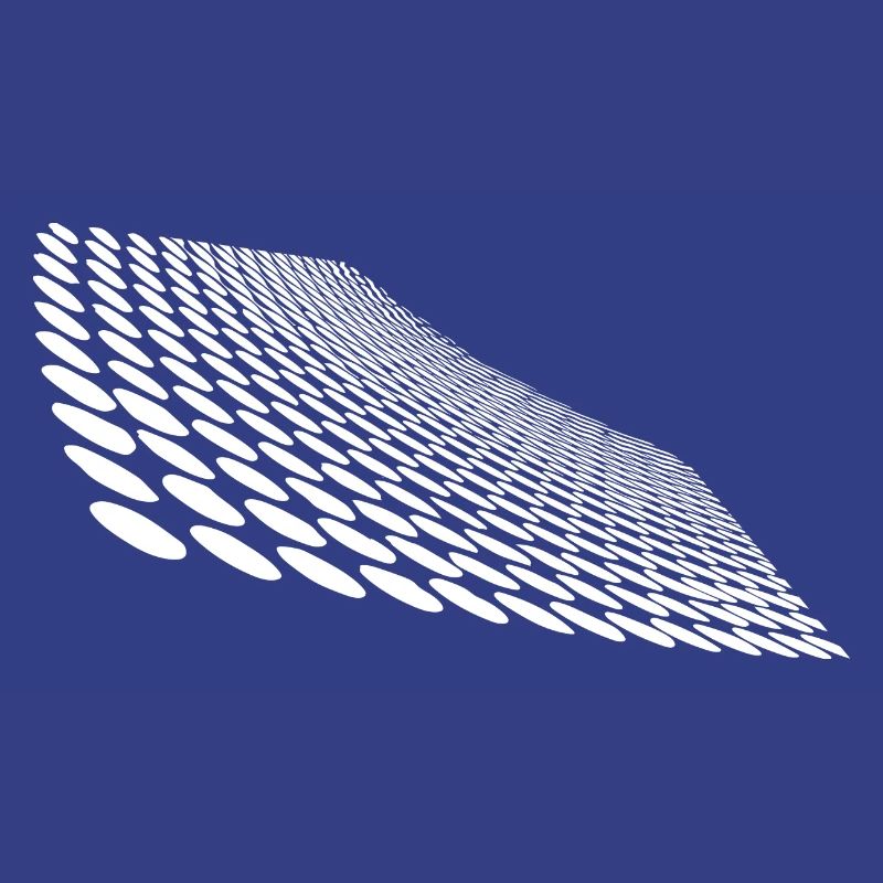 Geometric points on curved horizon surface