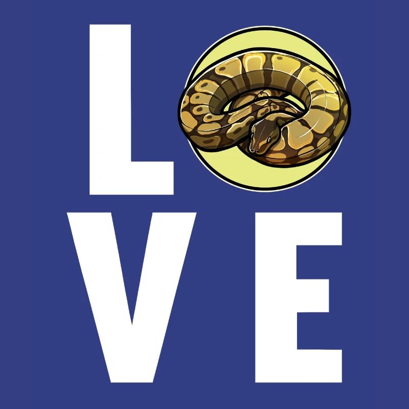 Ball Python King Python King Python