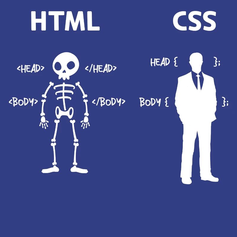 Code Css C++ Php Java Developer Code Scripting