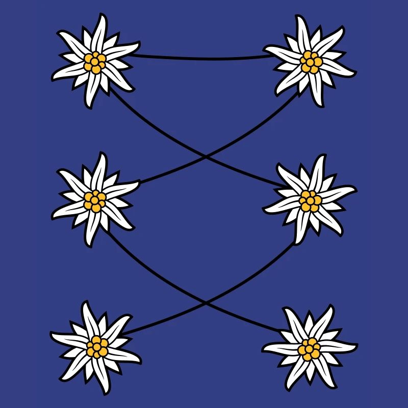 Dirndl apron Edelweiss