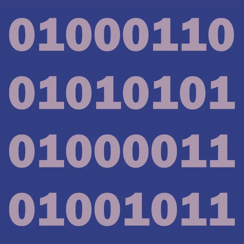 Binary Code Fuck