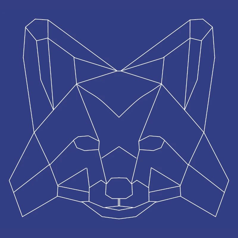 Fuchs polygons white