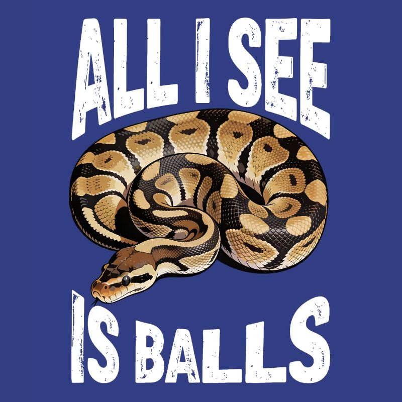 Python roi Serpents Amateurs de terrarium Python