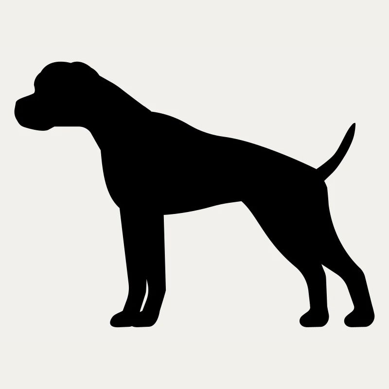 Boxer